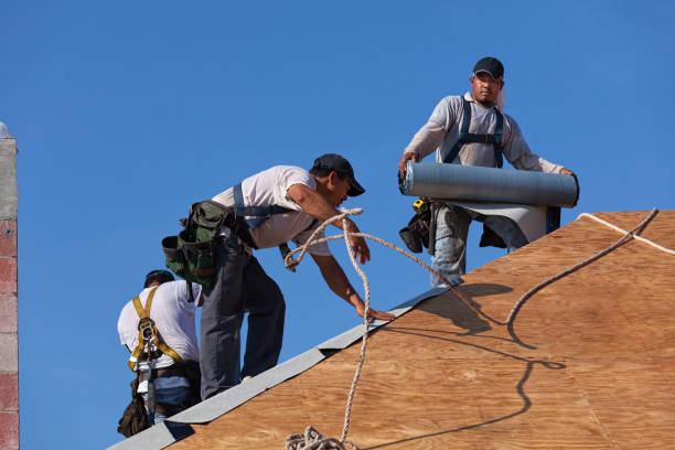 Best Roof Maintenance Services  in Frontenac, MO